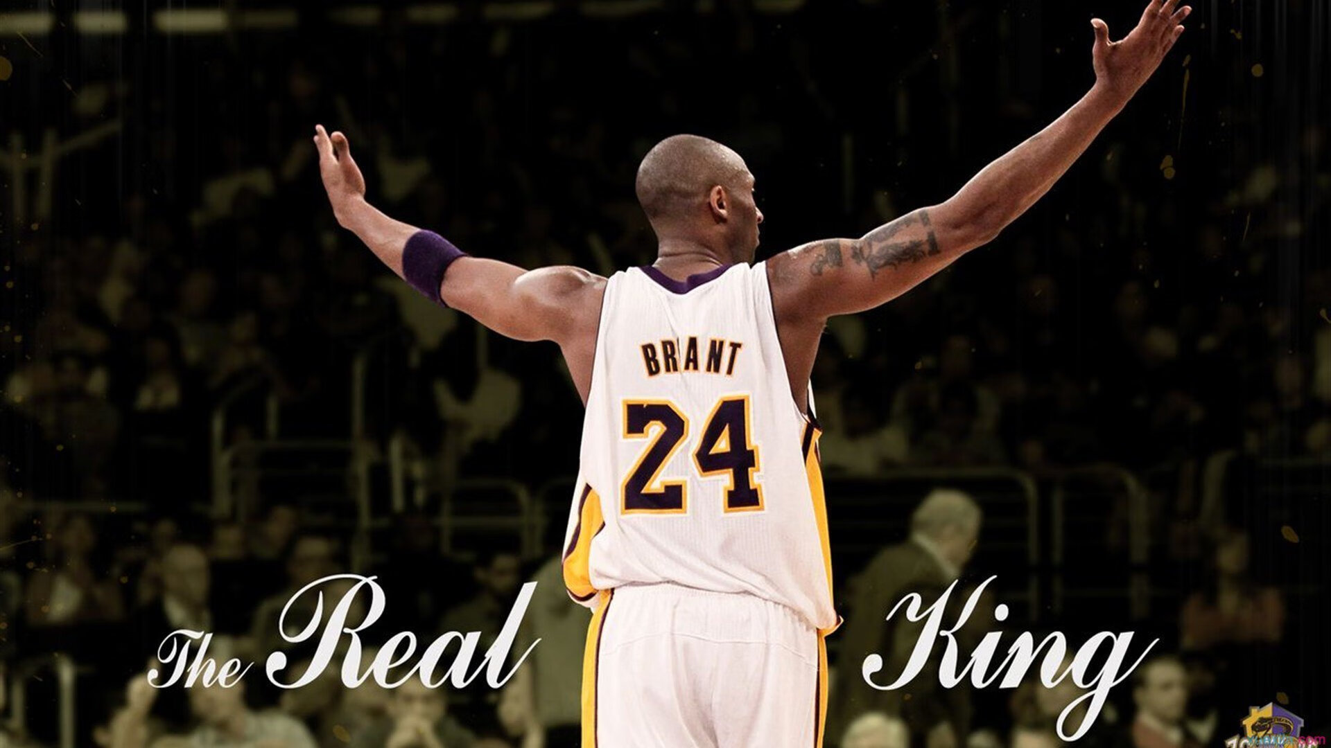 浓眉打出生涯之夜,浙江队稳稳拿下辽宁队