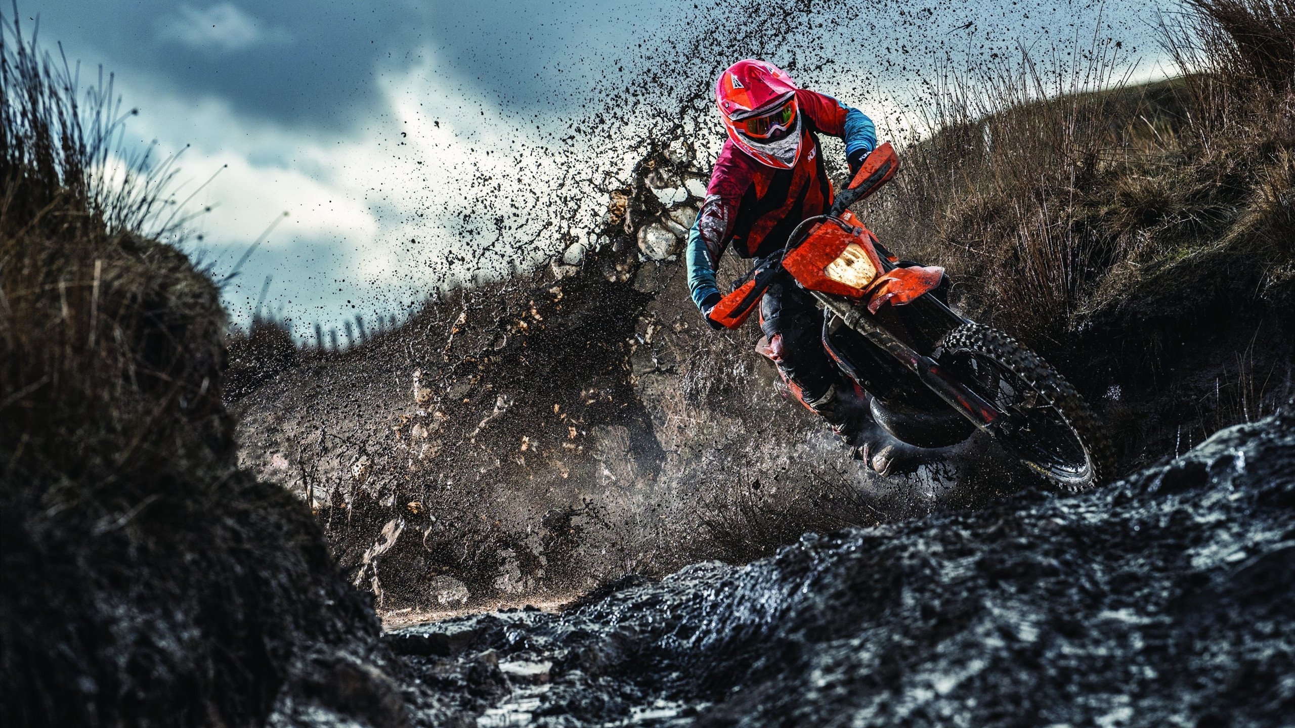 特奥节奏大师级掌控，利物浦新体系斩落乌拉圭式坚韧